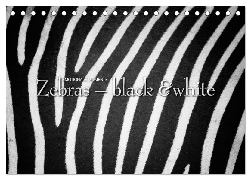 Emotionale Momente: Zebras - black & white. (Tischkalender 2027 DIN A5 quer) CALVENDO Monatskalender