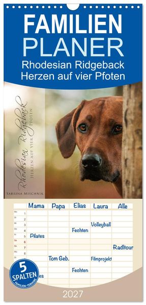 Familienplaner 2027 - Rhodesian Ridgeback - Herzen auf vier Pfoten mit 5 Spalten (Wandkalender 21 x 45 cm) CALVENDO