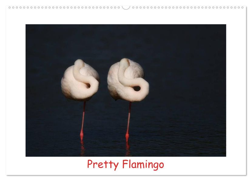 Pretty Flamingo (Wandkalender 2027 DIN A2 quer) CALVENDO Monatskalender