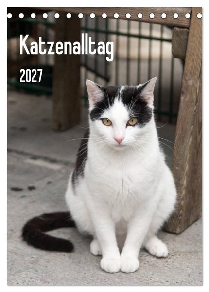 Katzenalltag 2027 (Tischkalender 2027 DIN A5 hoch) CALVENDO Monatskalender