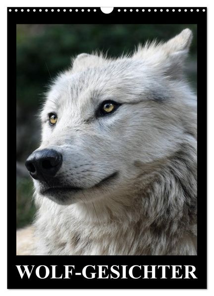 Wolf-Gesichter (Wandkalender 2027 DIN A3 hoch) CALVENDO Monatskalender