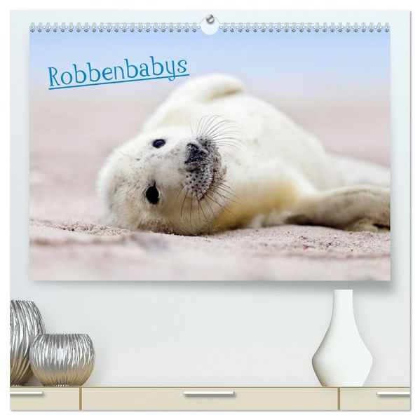 Robbenbabys (hochwertiger Premium Wandkalender 2027 DIN A2 quer) Kunstdruck in Hochglanz