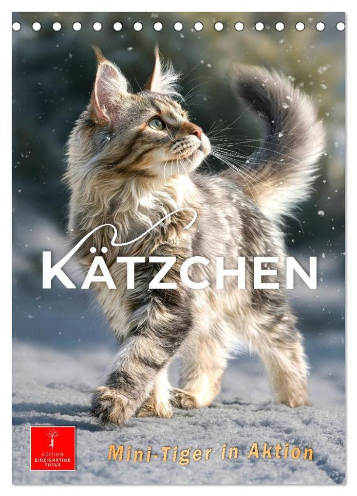 Kätzchen - Mini-Tiger in Aktion (Tischkalender 2027 DIN A5 hoch) CALVENDO Monatskalender