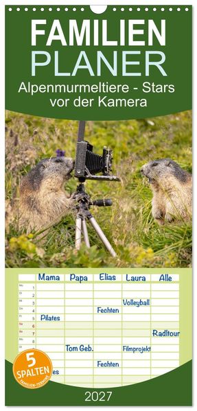 Familienplaner 2027 - Alpenmurmeltiere - Stars vor der Kamera mit 5 Spalten (Wandkalender 21 x 45 cm) CALVENDO