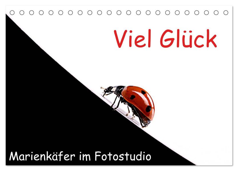 Viel Glück - Marienkäfer im Fotostudio (Tischkalender 2027 DIN A5 quer) CALVENDO Monatskalender