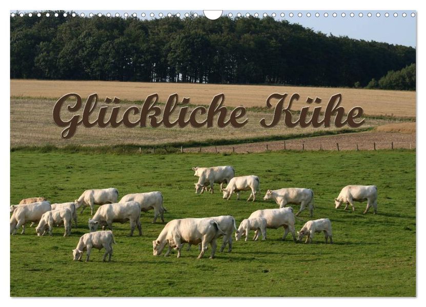 Glückliche Kühe (Wandkalender 2027 DIN A3 quer) CALVENDO Monatskalender