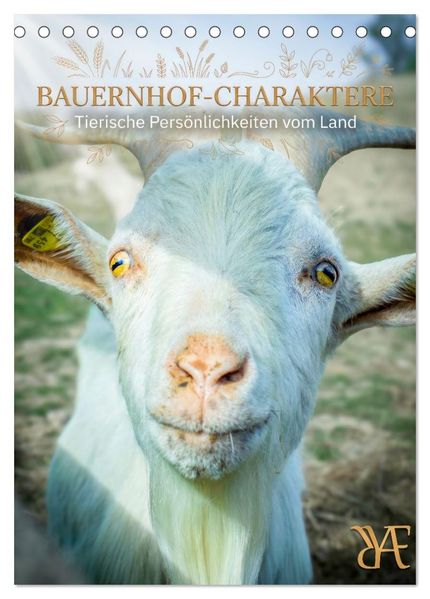 Bauernhof-Charaktere - Tierische Persönlichkeiten vom Land (Tischkalender 2027 DIN A5 hoch) CALVENDO Monatskalender