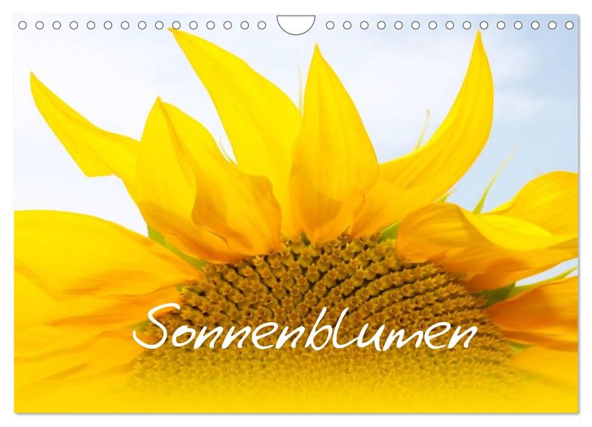 Sonnenblumen - die Blumen der Lebensfreude (Wandkalender 2027 DIN A4 quer) CALVENDO Monatskalender