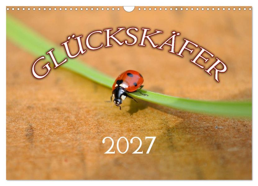 Marienkäfer 2027 (Wandkalender 2027 DIN A3 quer) CALVENDO Monatskalender