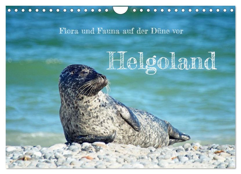 Flora und Fauna auf der Düne vor Helgoland (Wandkalender 2027 DIN A4 quer) CALVENDO Monatskalender