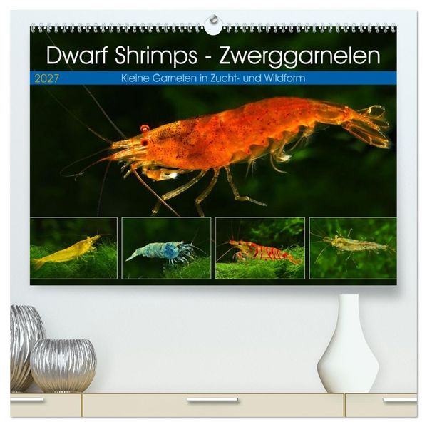 Dwarf Shrimps - Zwerggarnelen (hochwertiger Premium Wandkalender 2027 DIN A2 quer) Kunstdruck in Hochglanz