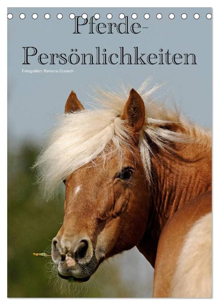 Pferde-Persönlichkeiten - ausdrucksstarke Gesichter verschiedener Pferderassen (Tischkalender 2027 DIN A5 hoch) CALVENDO Monatskalender