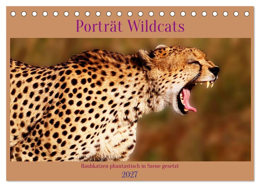 Porträt Wildcats (Tischkalender 2027 DIN A5 quer) CALVENDO Monatskalender