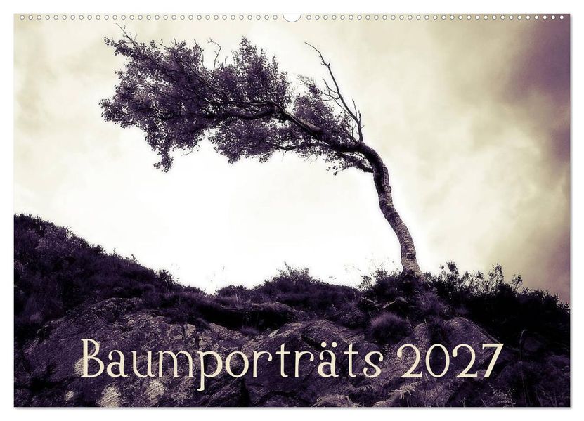 Baumporträts 2027 (Wandkalender 2027 DIN A2 quer) CALVENDO Monatskalender