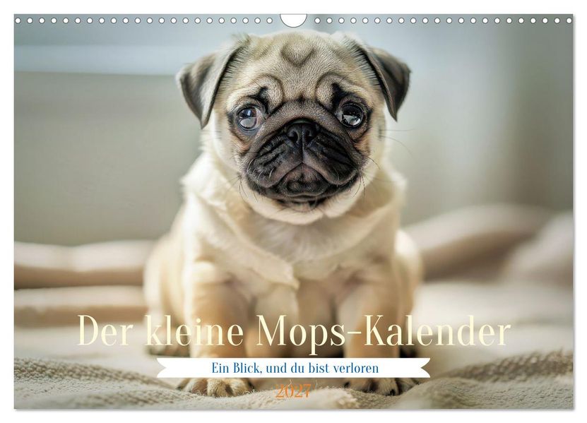 Der kleine Mops-Kalender (Wandkalender 2027 DIN A3 quer) CALVENDO Monatskalender