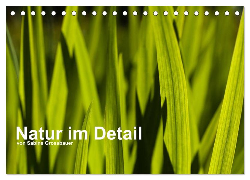 Natur im Detail (Tischkalender 2027 DIN A5 quer) CALVENDO Monatskalender