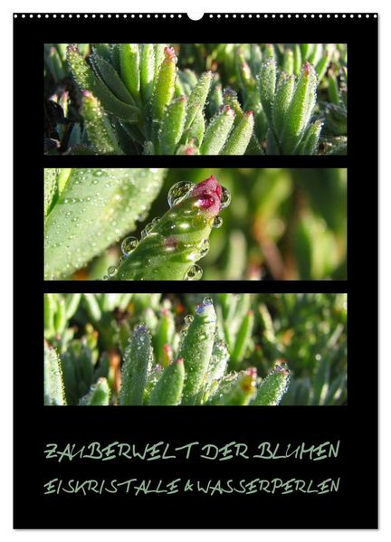 ZAUBERWELT DER BLUMEN - EISKRISTALLE & WASSERPERLEN (Wandkalender 2027 DIN A2 hoch) CALVENDO Monatskalender