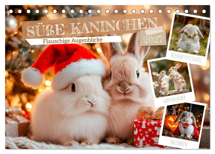 Süße Kaninchen - Flauschige Augenblicke (Tischkalender 2027 DIN A5 quer) CALVENDO Monatskalender