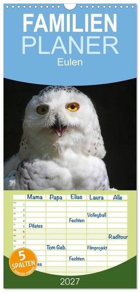Familienplaner 2027 - Eulen mit 5 Spalten (Wandkalender 21 x 45 cm) CALVENDO
