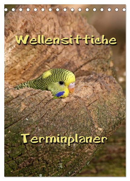 Wellensittiche Terminplaner (Tischkalender 2027 DIN A5 hoch) CALVENDO Monatskalender