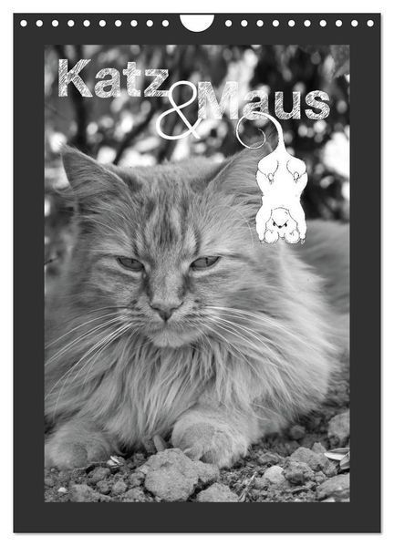 Katz & Maus (Wandkalender 2027 DIN A4 hoch) CALVENDO Monatskalender
