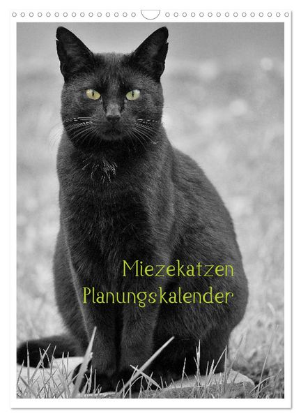 Miezekatzen Planungskalender (Wandkalender 2027 DIN A3 hoch) CALVENDO Monatskalender