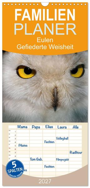 Familienplaner 2027 - Eulen. Gefiederte Weisheit mit 5 Spalten (Wandkalender 21 x 45 cm) CALVENDO