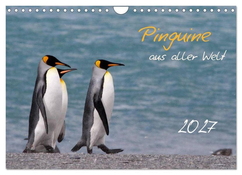 Pinguine aus aller Welt (Wandkalender 2027 DIN A4 quer) CALVENDO Monatskalender