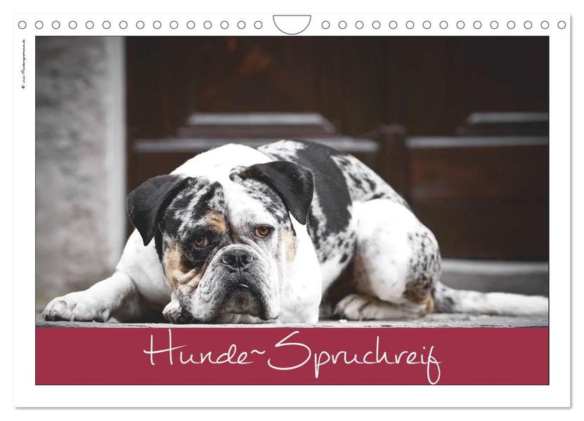 Hunde-Spruchreif (Wandkalender 2027 DIN A4 quer) CALVENDO Monatskalender