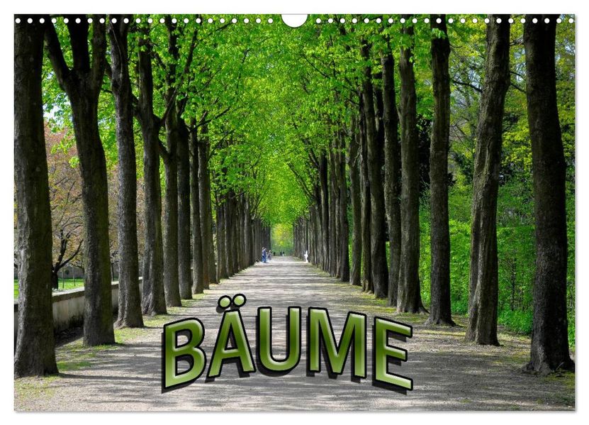 Bäume 2027 (Wandkalender 2027 DIN A3 quer) CALVENDO Monatskalender