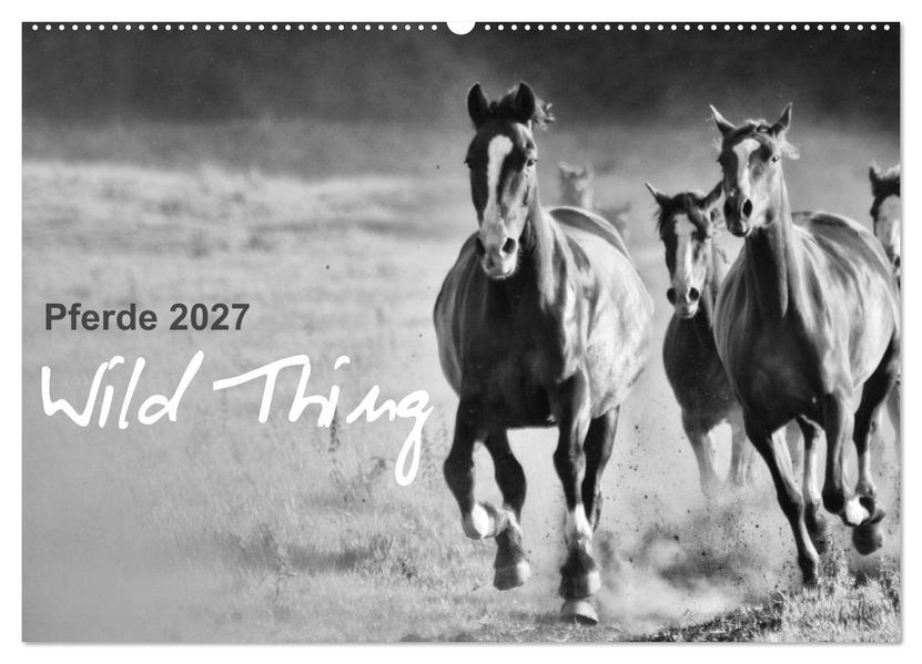 Pferde 2027 Wild Thing (Wandkalender 2027 DIN A2 quer) CALVENDO Monatskalender