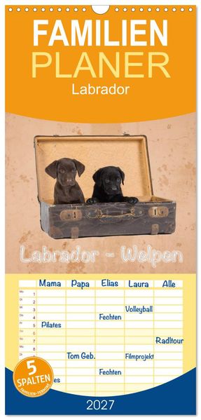 Familienplaner 2027 - Labrador - Welpen mit 5 Spalten (Wandkalender 21 x 45 cm) CALVENDO