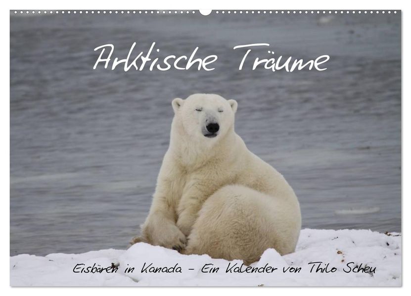 Arktische Träume - Eisbären in Kanada (Wandkalender 2027 DIN A2 quer) CALVENDO Monatskalender