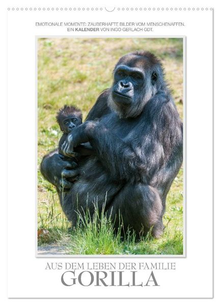 Emotionale Momente: Aus dem Leben der Familie Gorilla. (Wandkalender 2027 DIN A2 hoch) CALVENDO Monatskalender