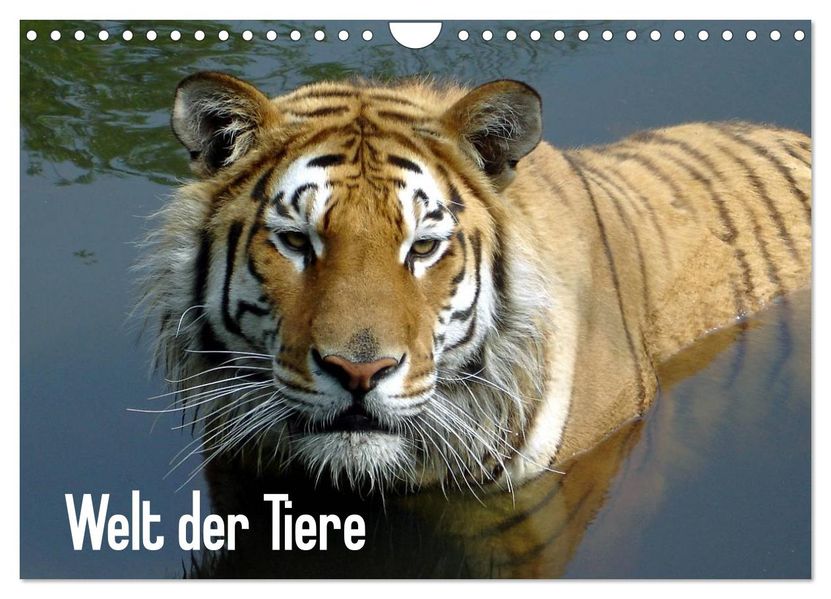 Welt der Tiere (Wandkalender 2027 DIN A4 quer) CALVENDO Monatskalender