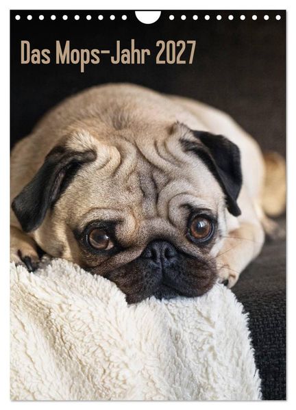 Das Mops-Jahr 2027 (Wandkalender 2027 DIN A4 hoch) CALVENDO Monatskalender