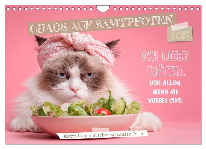 Chaos auf Samtpfoten (Wandkalender 2027 DIN A4 quer) CALVENDO Monatskalender