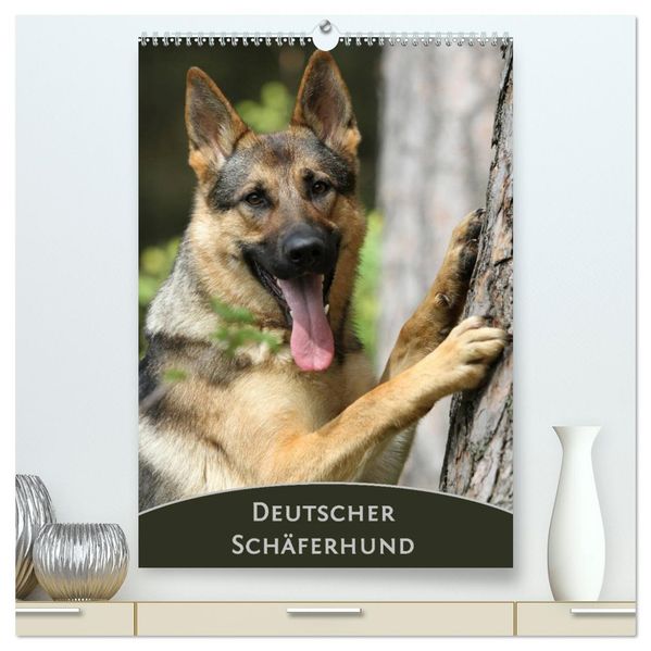 Deutscher Schäferhund (hochwertiger Premium Wandkalender 2027 DIN A2 hoch) Kunstdruck in Hochglanz