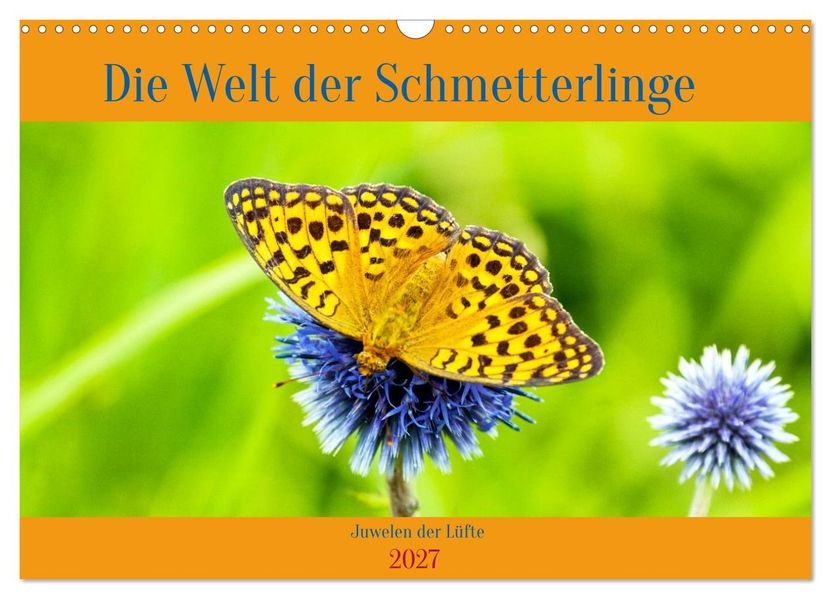Die Welt der Schmetterlinge (Wandkalender 2027 DIN A3 quer) CALVENDO Monatskalender