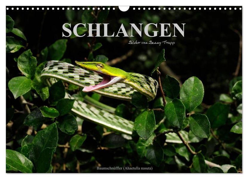 Schlangen (Wandkalender 2027 DIN A3 quer) CALVENDO Monatskalender