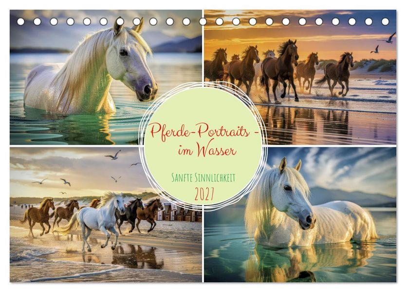 Pferde-Portraits - im Wasser (Tischkalender 2027 DIN A5 quer) CALVENDO Monatskalender