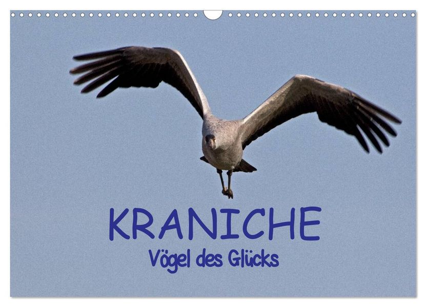 Kraniche - Vögel des Glücks (Wandkalender 2027 DIN A3 quer) CALVENDO Monatskalender