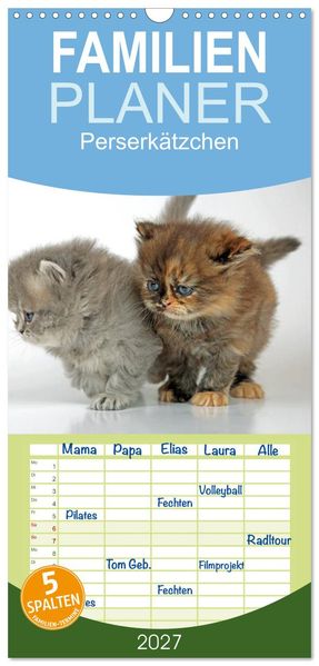 Familienplaner 2027 - Perserkätzchen mit 5 Spalten (Wandkalender 21 x 45 cm) CALVENDO