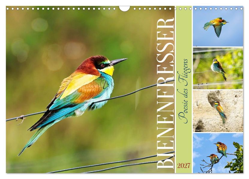 Bienenfresser Poesie des Fliegens (Wandkalender 2027 DIN A3 quer) CALVENDO Monatskalender