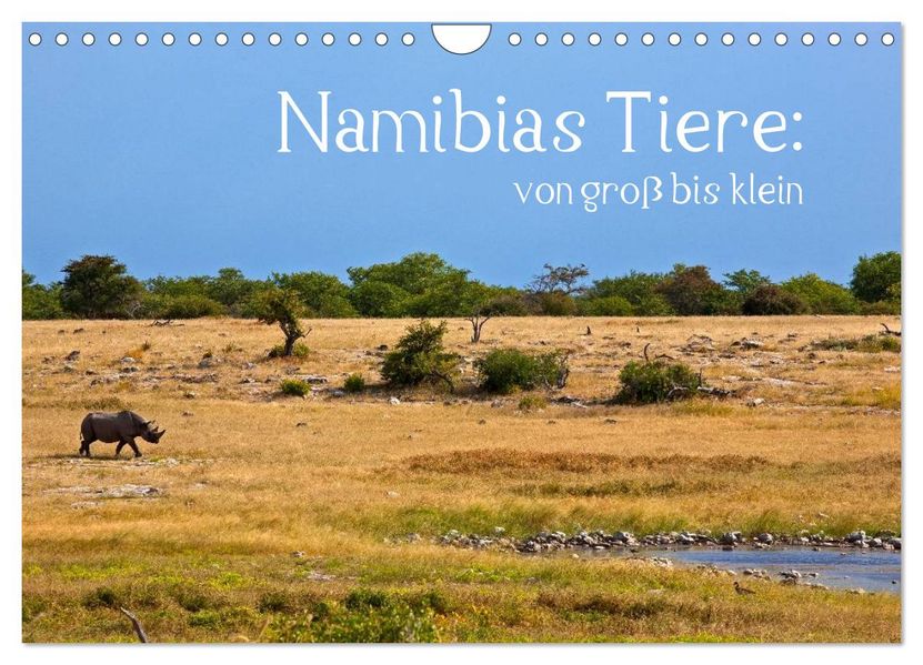 Namibias Tiere: von groß bis klein (Wandkalender 2027 DIN A4 quer) CALVENDO Monatskalender
