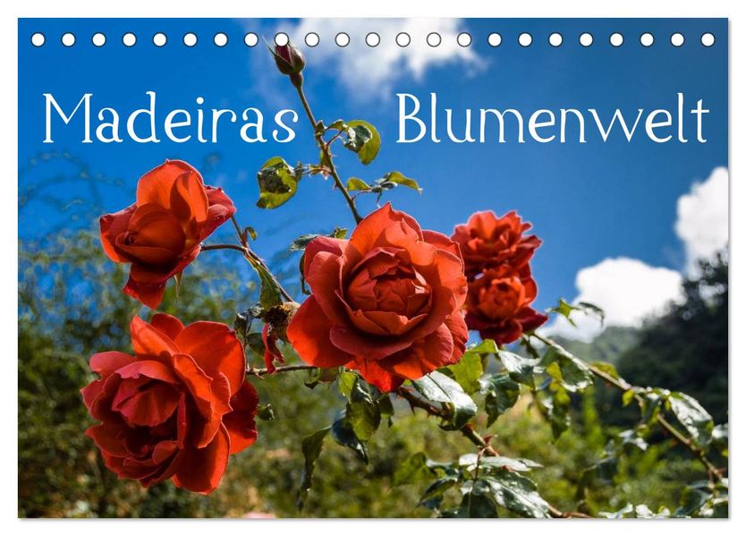 Madeiras Blumenwelt (Tischkalender 2027 DIN A5 quer) CALVENDO Monatskalender