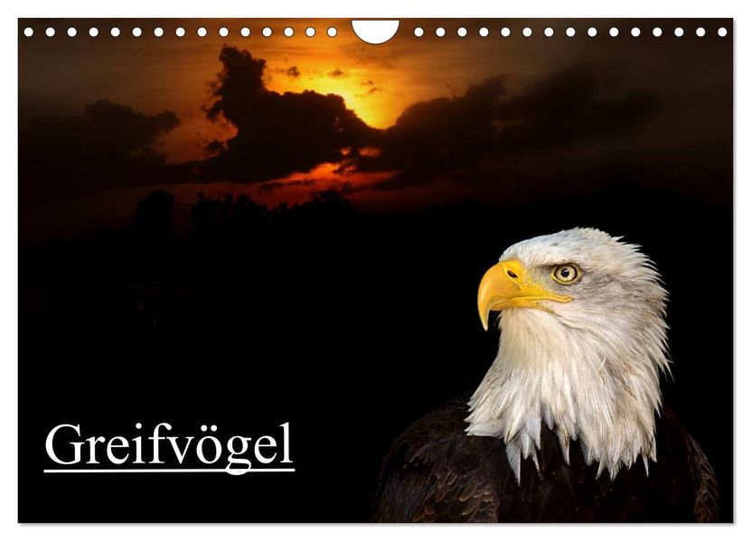 Greifvögel (Wandkalender 2027 DIN A4 quer) CALVENDO Monatskalender