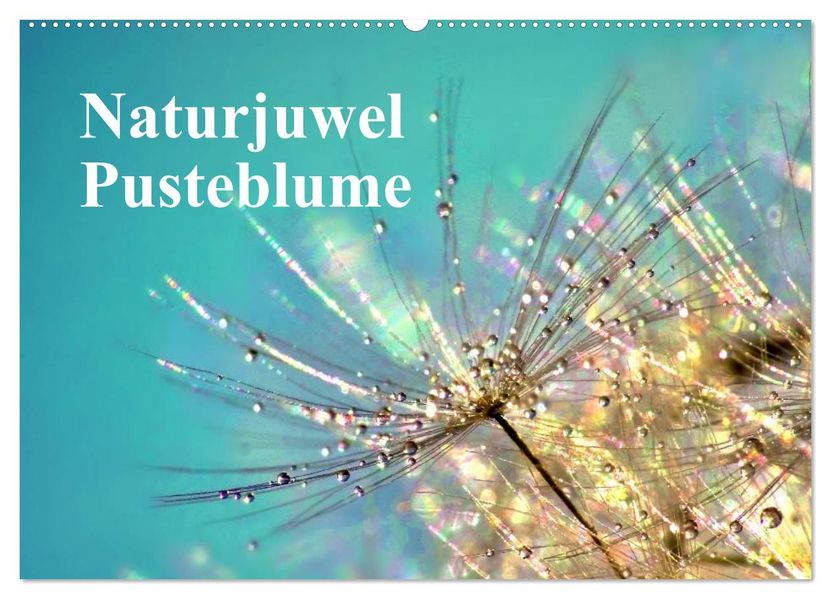 Naturjuwel Pusteblume (Wandkalender 2027 DIN A2 quer) CALVENDO Monatskalender