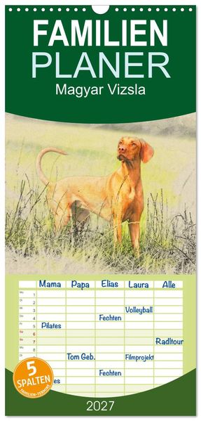 Familienplaner 2027 - Magyar Vizsla 2027 mit 5 Spalten (Wandkalender 21 x 45 cm) CALVENDO