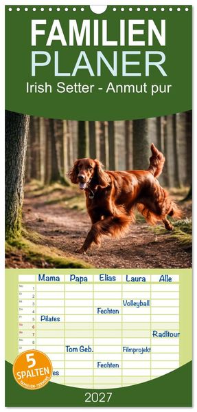 Familienplaner 2027 - Irish Setter - Anmut pur mit 5 Spalten (Wandkalender 21 x 45 cm) CALVENDO